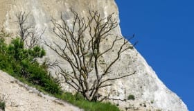 Møns klint 22-06-2019