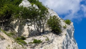 Møns klint 22-06-2019
