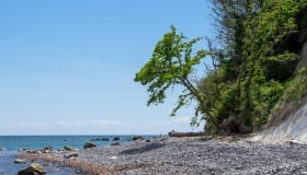 Møns klint 22-06-2019