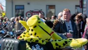Motorcykler-april-2019-13-of-28