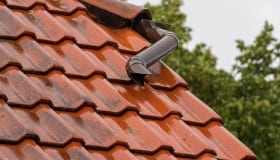 Detaljer fra Nysted