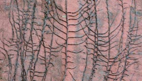 Detaljer fra Nysted