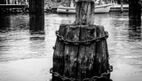 DSC_0032-Edit