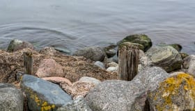 DSC_0049
