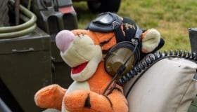 Timewinder 2019