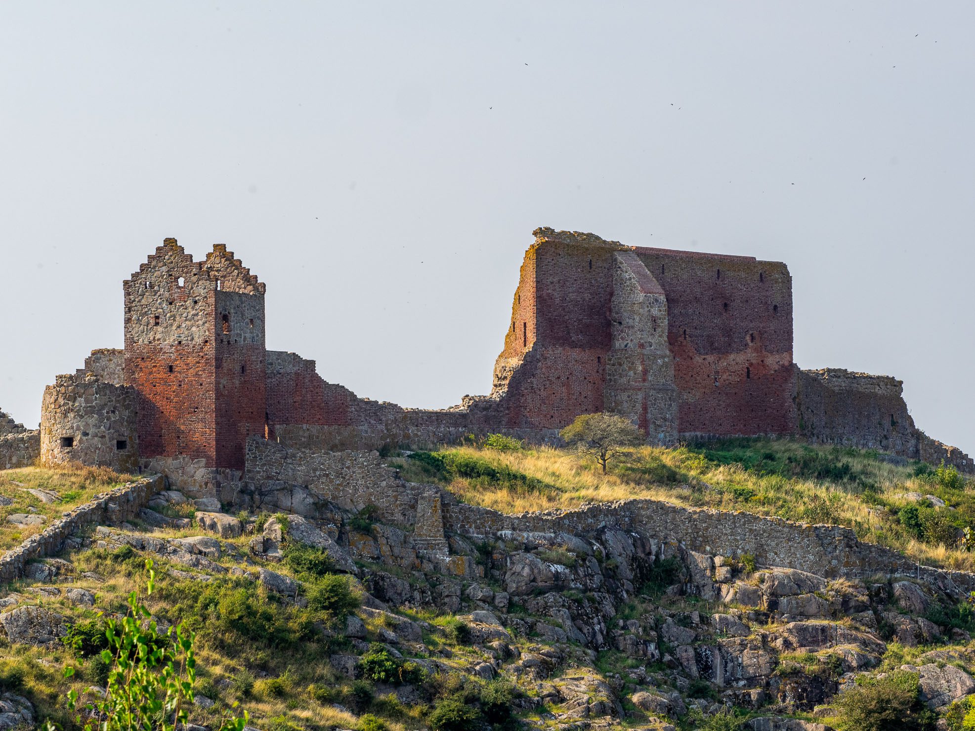 Hammershus på Bornholm