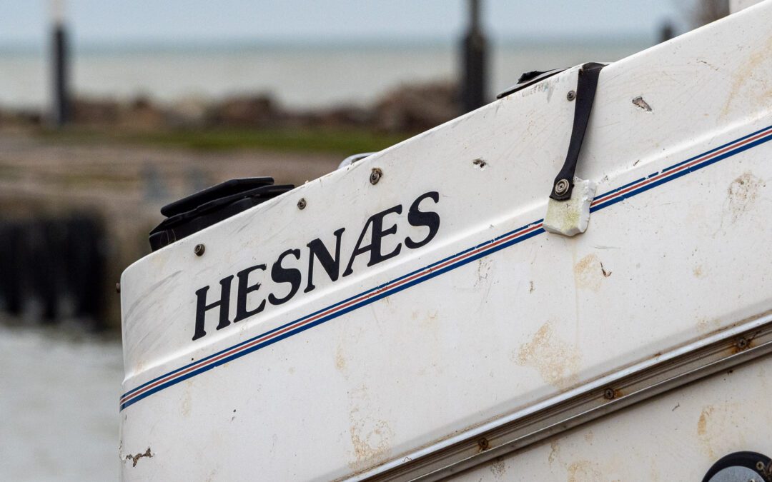 Hesnæs efter efterårsstormen 2023