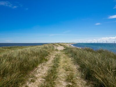 Saksfjed-Hyllekrog er et af Fugleværnsfondens største naturreservater. Området blev erhvervet i 1995 gennem Karen Krieger Fonden, der overlod administrationen af området til Fugleværnsfonden. Hele reservatet er en del af en større landskabsfredning, der blev fredet i 1989. Hyllekrog er et vildtreservat, og jagt er forbudt i hele bugten nord for Hyllekrogtangen. Derudover er Saksfjed-Hyllekrog også et EF-beskyttelsesområde og et Ramsarområde, hvilket vil sige et vådområde af internationeal betydning som levested for vandfugle.