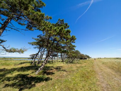 Saksfjed-Hyllekrog er et af Fugleværnsfondens største naturreservater. Området blev erhvervet i 1995 gennem Karen Krieger Fonden, der overlod administrationen af området til Fugleværnsfonden. Hele reservatet er en del af en større landskabsfredning, der blev fredet i 1989. Hyllekrog er et vildtreservat, og jagt er forbudt i hele bugten nord for Hyllekrogtangen. Derudover er Saksfjed-Hyllekrog også et EF-beskyttelsesområde og et Ramsarområde, hvilket vil sige et vådområde af internationeal betydning som levested for vandfugle.