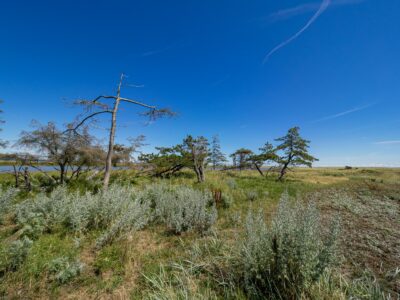 Saksfjed-Hyllekrog er et af Fugleværnsfondens største naturreservater. Området blev erhvervet i 1995 gennem Karen Krieger Fonden, der overlod administrationen af området til Fugleværnsfonden. Hele reservatet er en del af en større landskabsfredning, der blev fredet i 1989. Hyllekrog er et vildtreservat, og jagt er forbudt i hele bugten nord for Hyllekrogtangen. Derudover er Saksfjed-Hyllekrog også et EF-beskyttelsesområde og et Ramsarområde, hvilket vil sige et vådområde af internationeal betydning som levested for vandfugle.
