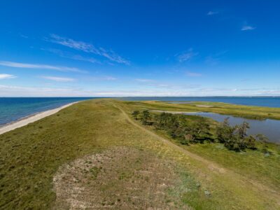 Saksfjed-Hyllekrog er et af Fugleværnsfondens største naturreservater. Området blev erhvervet i 1995 gennem Karen Krieger Fonden, der overlod administrationen af området til Fugleværnsfonden. Hele reservatet er en del af en større landskabsfredning, der blev fredet i 1989. Hyllekrog er et vildtreservat, og jagt er forbudt i hele bugten nord for Hyllekrogtangen. Derudover er Saksfjed-Hyllekrog også et EF-beskyttelsesområde og et Ramsarområde, hvilket vil sige et vådområde af internationeal betydning som levested for vandfugle.