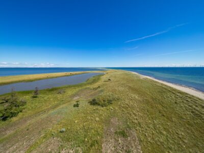 Saksfjed-Hyllekrog er et af Fugleværnsfondens største naturreservater. Området blev erhvervet i 1995 gennem Karen Krieger Fonden, der overlod administrationen af området til Fugleværnsfonden. Hele reservatet er en del af en større landskabsfredning, der blev fredet i 1989. Hyllekrog er et vildtreservat, og jagt er forbudt i hele bugten nord for Hyllekrogtangen. Derudover er Saksfjed-Hyllekrog også et EF-beskyttelsesområde og et Ramsarområde, hvilket vil sige et vådområde af internationeal betydning som levested for vandfugle.