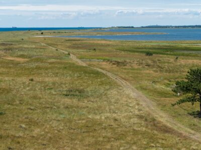 Saksfjed-Hyllekrog er et af Fugleværnsfondens største naturreservater. Området blev erhvervet i 1995 gennem Karen Krieger Fonden, der overlod administrationen af området til Fugleværnsfonden. Hele reservatet er en del af en større landskabsfredning, der blev fredet i 1989. Hyllekrog er et vildtreservat, og jagt er forbudt i hele bugten nord for Hyllekrogtangen. Derudover er Saksfjed-Hyllekrog også et EF-beskyttelsesområde og et Ramsarområde, hvilket vil sige et vådområde af internationeal betydning som levested for vandfugle.