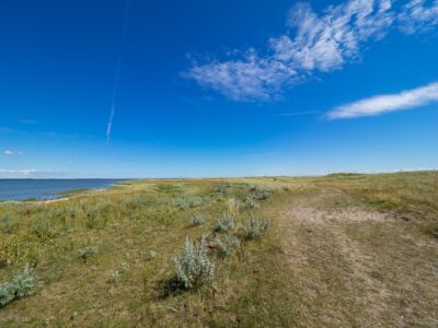 Saksfjed-Hyllekrog er et af Fugleværnsfondens største naturreservater. Området blev erhvervet i 1995 gennem Karen Krieger Fonden, der overlod administrationen af området til Fugleværnsfonden. Hele reservatet er en del af en større landskabsfredning, der blev fredet i 1989. Hyllekrog er et vildtreservat, og jagt er forbudt i hele bugten nord for Hyllekrogtangen. Derudover er Saksfjed-Hyllekrog også et EF-beskyttelsesområde og et Ramsarområde, hvilket vil sige et vådområde af internationeal betydning som levested for vandfugle.