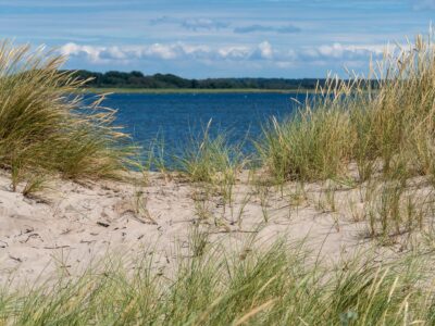 Saksfjed-Hyllekrog er et af Fugleværnsfondens største naturreservater. Området blev erhvervet i 1995 gennem Karen Krieger Fonden, der overlod administrationen af området til Fugleværnsfonden. Hele reservatet er en del af en større landskabsfredning, der blev fredet i 1989. Hyllekrog er et vildtreservat, og jagt er forbudt i hele bugten nord for Hyllekrogtangen. Derudover er Saksfjed-Hyllekrog også et EF-beskyttelsesområde og et Ramsarområde, hvilket vil sige et vådområde af internationeal betydning som levested for vandfugle.