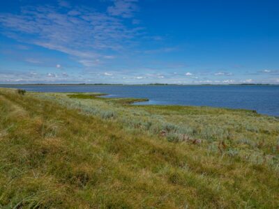 Saksfjed-Hyllekrog er et af Fugleværnsfondens største naturreservater. Området blev erhvervet i 1995 gennem Karen Krieger Fonden, der overlod administrationen af området til Fugleværnsfonden. Hele reservatet er en del af en større landskabsfredning, der blev fredet i 1989. Hyllekrog er et vildtreservat, og jagt er forbudt i hele bugten nord for Hyllekrogtangen. Derudover er Saksfjed-Hyllekrog også et EF-beskyttelsesområde og et Ramsarområde, hvilket vil sige et vådområde af internationeal betydning som levested for vandfugle.