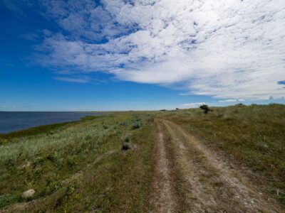 Saksfjed-Hyllekrog er et af Fugleværnsfondens største naturreservater. Området blev erhvervet i 1995 gennem Karen Krieger Fonden, der overlod administrationen af området til Fugleværnsfonden. Hele reservatet er en del af en større landskabsfredning, der blev fredet i 1989. Hyllekrog er et vildtreservat, og jagt er forbudt i hele bugten nord for Hyllekrogtangen. Derudover er Saksfjed-Hyllekrog også et EF-beskyttelsesområde og et Ramsarområde, hvilket vil sige et vådområde af internationeal betydning som levested for vandfugle.
