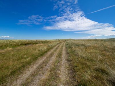 Saksfjed-Hyllekrog er et af Fugleværnsfondens største naturreservater. Området blev erhvervet i 1995 gennem Karen Krieger Fonden, der overlod administrationen af området til Fugleværnsfonden. Hele reservatet er en del af en større landskabsfredning, der blev fredet i 1989. Hyllekrog er et vildtreservat, og jagt er forbudt i hele bugten nord for Hyllekrogtangen. Derudover er Saksfjed-Hyllekrog også et EF-beskyttelsesområde og et Ramsarområde, hvilket vil sige et vådområde af internationeal betydning som levested for vandfugle.
