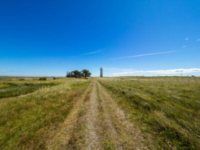 Saksfjed-Hyllekrog er et af Fugleværnsfondens største naturreservater. Området blev erhvervet i 1995 gennem Karen Krieger Fonden, der overlod administrationen af området til Fugleværnsfonden. Hele reservatet er en del af en større landskabsfredning, der blev fredet i 1989. Hyllekrog er et vildtreservat, og jagt er forbudt i hele bugten nord for Hyllekrogtangen. Derudover er Saksfjed-Hyllekrog også et EF-beskyttelsesområde og et Ramsarområde, hvilket vil sige et vådområde af internationeal betydning som levested for vandfugle.